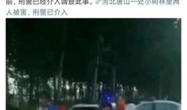 唐山最近爆料案件最新,真相渐明，警方全力侦破